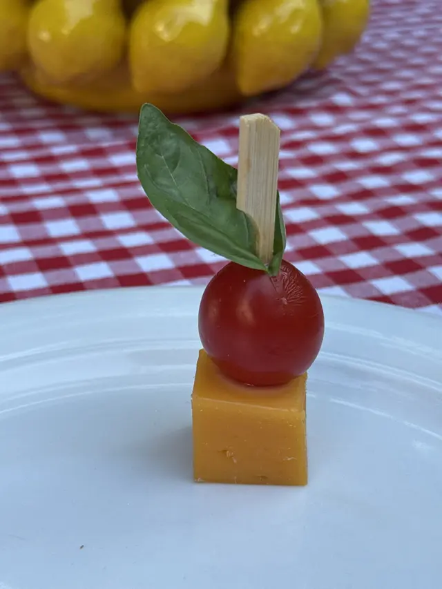 Gustări de catering Volare
